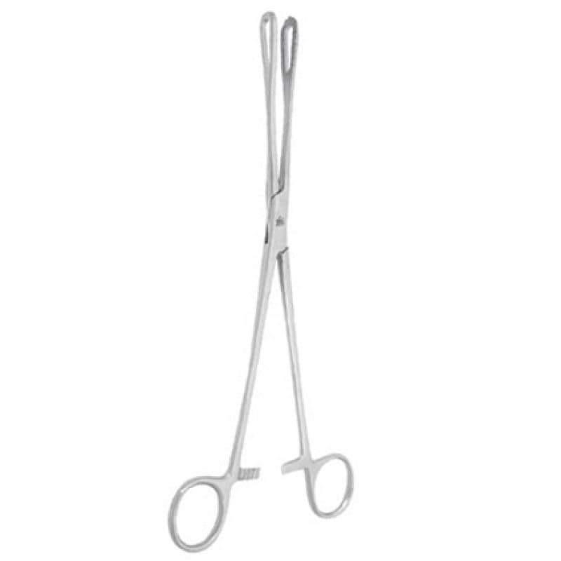 Dental Explorer Probe 2