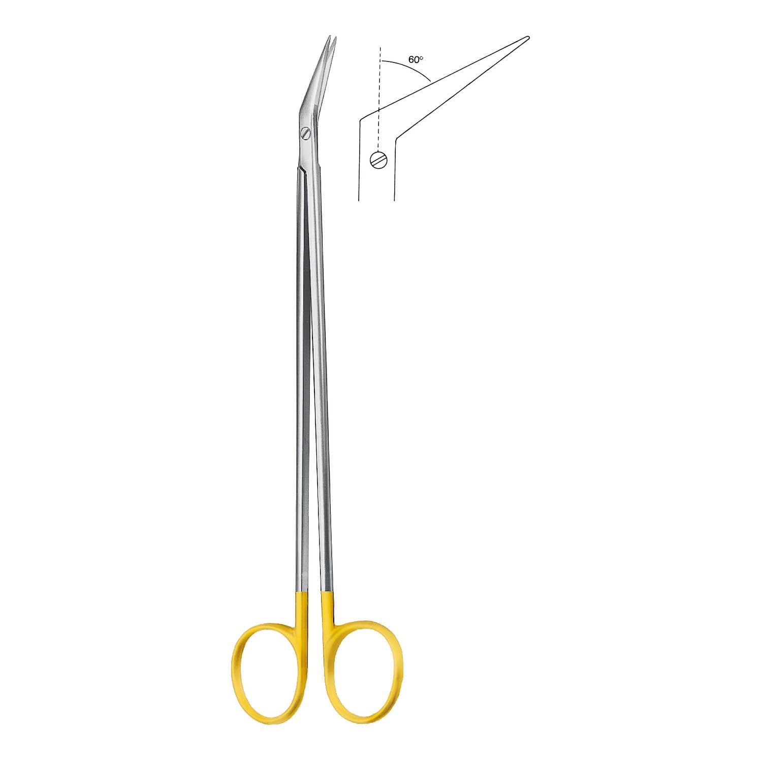 Dental Curette
